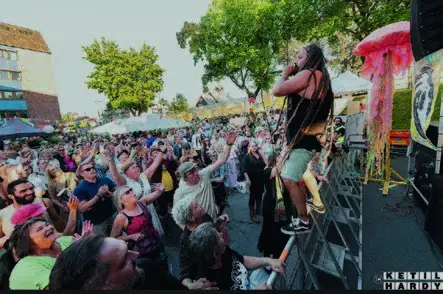 Topp stemning på fjorårets festival